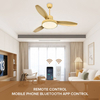 Chinese Wooden Ceil Fan Energy Saving Electric Ac Dc 52 Inch Ceiling Fan With Light Led Cct
