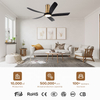 58 Inch Living Room ABS Fan Blade Led Foyer Chandelier Vintage Pendant Ceiling Fan With Light