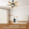 Zhongshan Decorative 52 Inch Low Noise LED Lighting Fan Style Retro Ceiling Fan