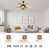 Customized Ceiling Fan Energy Conservation Air Cooling Low Noise LED Lighting Fan