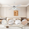 Factory Direct Selling Classic Decoration Designer Model Remote Ceiling Fan with Light Ceiling Fans