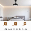 Best Quality Low Noise Mini 22 Inch Ceiling Fan Black Dc Brushless 2 in 1 220 Volts 5o Hzs Ceiling Fan