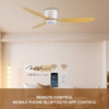 Energy Conservation Ceiling Fan 52 Inch Wooden 3 Blades Forward Reverse Fan Light