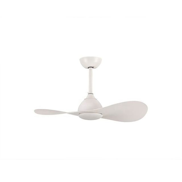 New Arrival Best Low Profile Light Small Size 2 Blade 36 Inch Ceiling Fan Lamps with Remote Control