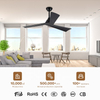 High Quality Unique Design Stylish Black Silenceremote Control Smart Ceiling Fan for House