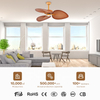 Modern Decorative Living Room Ceiling Fans Lighting Remote Control Ceiling Fan with Lamp Dimming