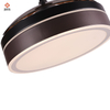 Decorative Remote Control Invisible Black Smart Retractable Modern Ceiling Fan With Light
