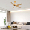 Household National Inverter Remote Control Ceiling Light Fan Silver Fan with Led Light Modern