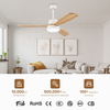 Slient Design Room 52inch Dc Ceiling Fan 3 Blades With Light a Remote Control for House