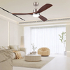 Decorate Room or Hotel Led Lighting Ceiling Fan with Light Ceiling with Remote 110 to 220v