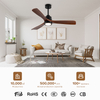Competitive Price Enough Power Colour Change Remotrol Control Decorative Ceiling Fan With Lamp