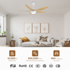 Decorative Smart Remote Control Led Fan Lamp Large Led Ceiling Fan With Bright Light for Home