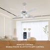 Factory Direct Selling Classic Best-selling Designer Model Ceiling Fan with Light and Remote Ceiling Fan with Light Ceiling Fans