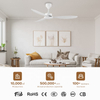 High Quality Design Black Bldc Noiseless High Speed 56 Inch Inverter Ceiling Fan with Wifi