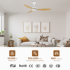 High Quality Energy Saving Multi-function Black 56 Inch Cheap Ac Dc 3 Abs Blades Ceiling Fan