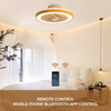 Zhongshan Homestead Bedroom Intelligent Remote Control Ceiling Light and Fan with Led Lamp