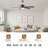 American Indoor Remote Control Fandelier Fan Lamp Luxury Remote Led Ceiling Fan with Light