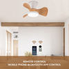 Zhongshan Intelligent Remote Control Small Blade 22inch Fan Lamp Home 2 in 1 Ceiling Fan with Light