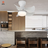 Fancy Bedroom Home Hotel 24inch Led Ceiling Fan with Light Remote Control