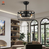 Modern Living Room Fan Light Switch Ceiling Fan with Lamp and Remote