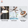 Multifunction Lamp Ceiling Fan Bedroom Ceiling Fan with Led Lights Remote Control