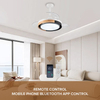 Smart Control Dc Led Modern Ledary Retractable 42 Inch Ceiling Fan with Lights Remote Control