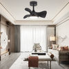 Hot Sale 22inch Small Led Fan Lamp Led Lights for Living Room Ceiling with Remote Control and Fan