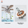 Remote Control Dimmable Living Room Bedroom Led Ceiling Fan with Light