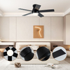 Inverter Smart Black Colour 5 wings Plywood Blade Ceiling Fan 52inch Fan and Light with Remote