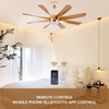 Modern Designer Luxury Decorate 60 Inch Cooling Ceiling Fan with Light and Remote for Room