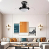 Hot Selling Small Invisible Ceiling Lamp Remote Control Led Light Ceiling Fan with Light