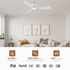Modern Designer Study Lowes White Ceiling Fans Light Smart Remote Control Rgb Led Fan Light