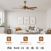 Ceiling Fan Made in China Hight Quality Air Cooler Lamp 56-inch 5 Plywood Blades Ceiling Fan