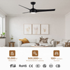 Odm Decorative Smart Lighting Fan Remote Control Ceiling Lamps Fan with Led Light for Restaurant
