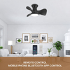 Modern Living Room Bedroom 22 Inch ABS Small Black Ceiling Fan Lamp Remote Control Acrylic Ceiling Fan with Led Light