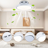 Hot Sale Invisible Fan Blades Fan Lights Ceiling Lamp Ceiling Light With Fan at Good Price 45cm