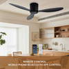 Modern 52 Inch Metal Indoor Ceiling Fan with White Light Remote Control Smart 3 ABS Design 24W 220V DC From China