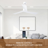 Modern 52-inch Indoor/outdoor Ceiling Fan 3 Blades in White Remote Control for Household