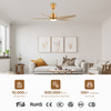 Silver Gold Light Fan Led Ceiling Fans 52 Inches 6 Speed Lamps with bluetooth for Hospitals