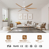 Cheap Smart Noiseless High Speed Ceiling Fan Led for Living Room with Remote and Light Lamp