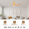 Living Room Decorative High-end ABS Plastic Body Led Ceiling Fans Light Gold Celling Fan with Light