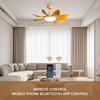 New Design Modern Home High End Remote Control Smart Ceiling Fan Led Lighting Living Room Lamp Light