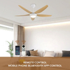 Family Room Smart Wifi 5 Blade ABS Led Bldc Ceiling Fan with Light and Remote for Decoration