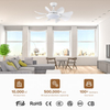 Modern Home Smart Remote Control 6speed Led Light Ceiling Lights and Fan with Lights and Dimmable