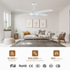 Modern Home Led Quiet 4 Plywood Blades Ceil Fan Ac Dc Ceiling Fan With Display Remote