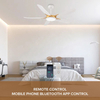 Modern Design Indoor Fancy Home Remote Control Ceiling Fans Lamp Fan Ceiling