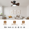 Zhongshan Intelligent Remote Control Small Blade 22inch Fan Lamp Home 2 in 1 Ceiling Fan with Light