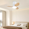 Modern 24-inch Ceiling Fan With Led Lamp and Remote Control New Abs Body for Living Room