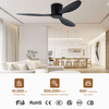 Modern 52 Inch Metal Indoor Ceiling Fan with White Light Remote Control Smart 3 ABS Design 24W 220V DC From China