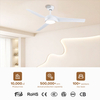 Modern Remote Control 52 Inch Indoor Ceiling Fan White Indoor Decorative Ceiling Fan With Light